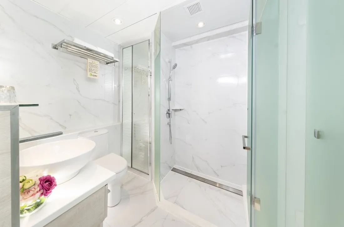 ICSWII_iPlus Executive_Toilet.jpg 